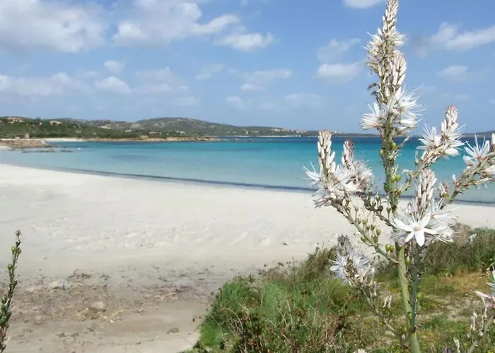 Diana - Family House * Olbia